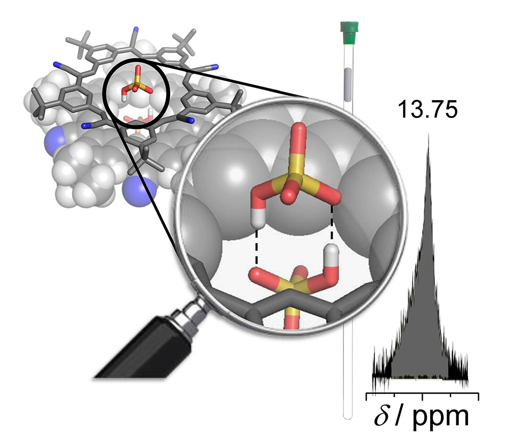 Anions Stabilize Each Other inside Macrocyclic Hosts